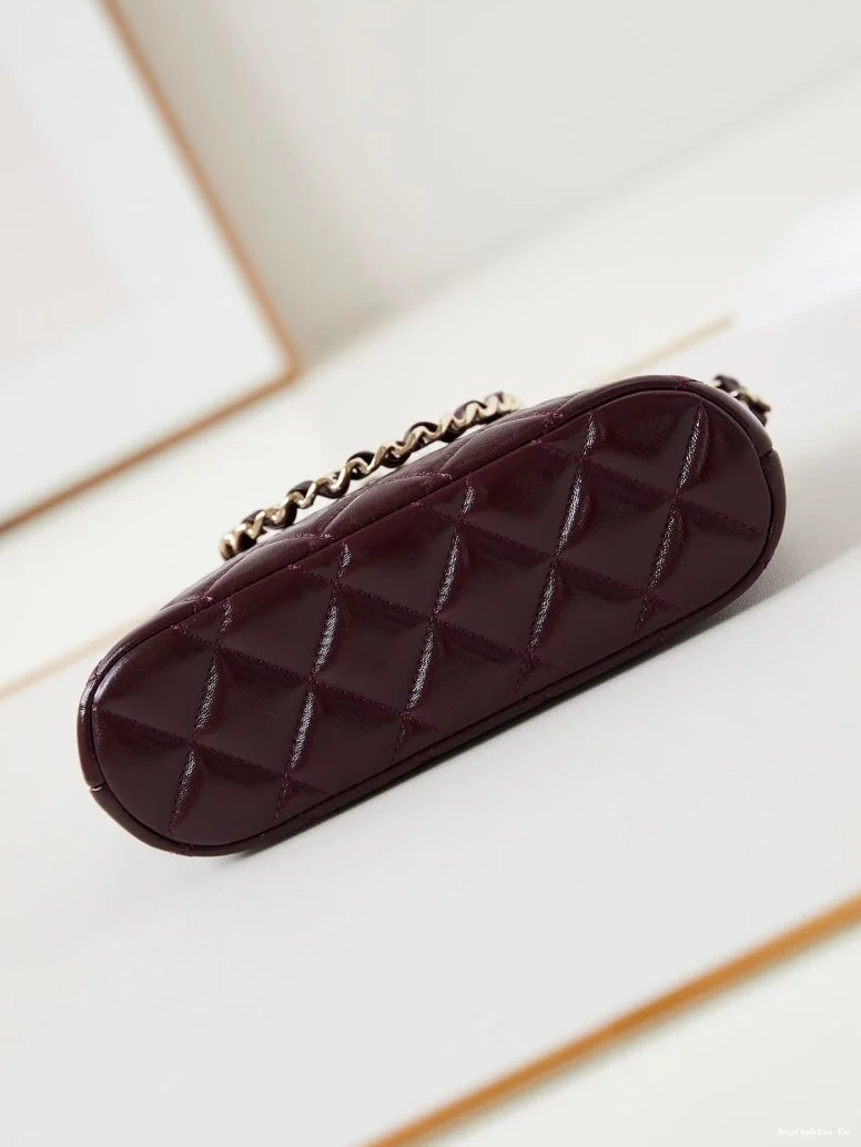 53907 Other EyeCatching Chanel Stachel Bags 0627